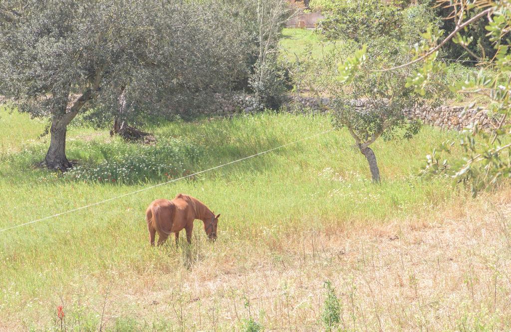 Finca Batlet S'Horta Екстериор снимка