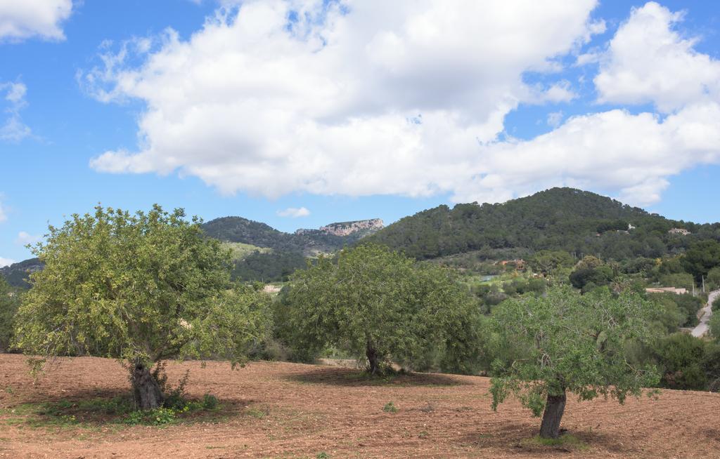 Finca Batlet S'Horta Екстериор снимка